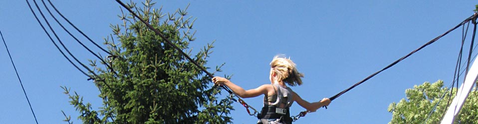 letterwald zweites  foto