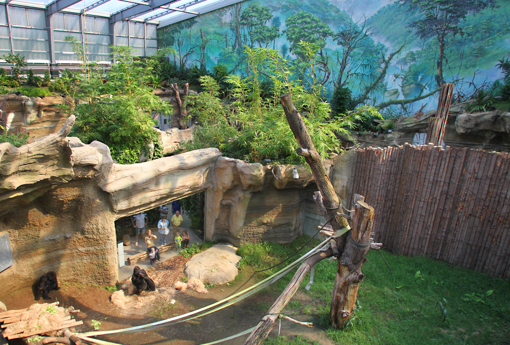 5d kino ostseewelten