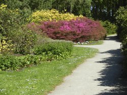 graal mueritz rhododenron park