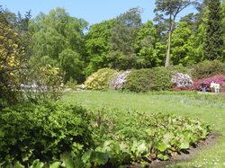 graal mueritz strand