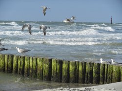 graal mueritz strandkorb
