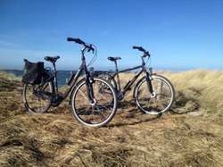 Fahrräder der Ferienwohnung